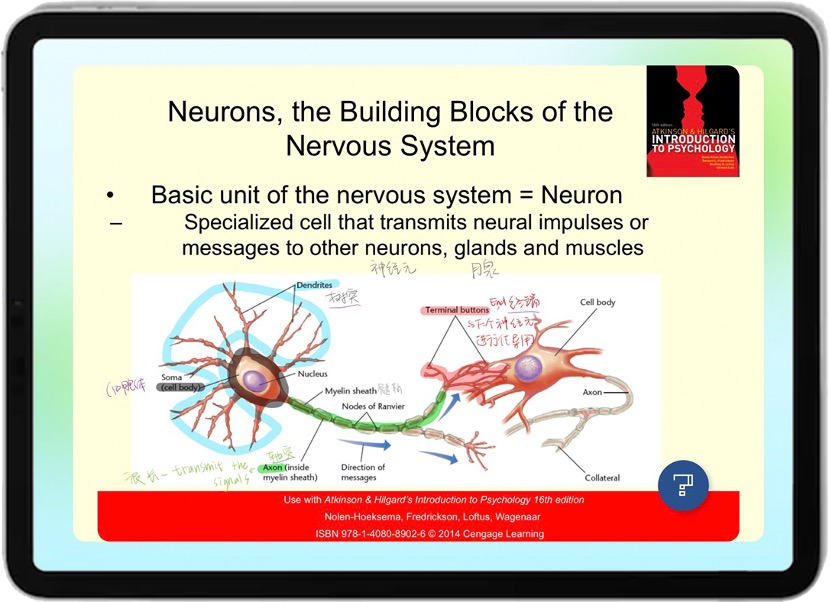 智联黑板体验展示